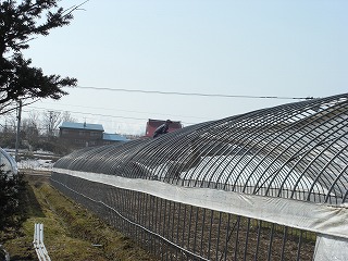 CIMG1210.jpg