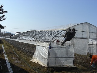 CIMG1211.jpg
