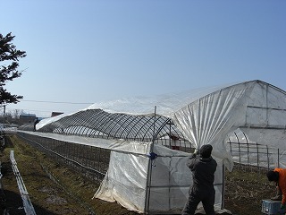 CIMG1212.jpg