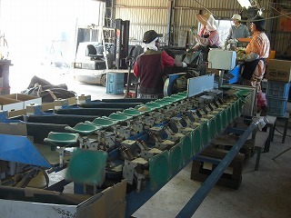 CIMG2006.jpg