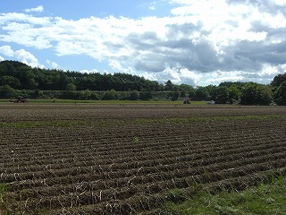 CIMG2174.jpg