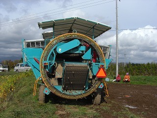 CIMG2313.jpg