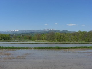 CIMG3743.jpg