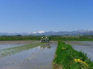 CIMG3756.jpg