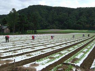 CIMG4328.jpg