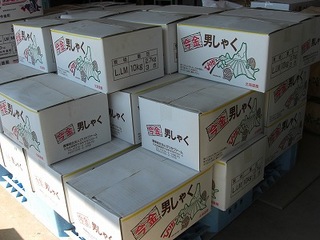 CIMG4380.jpg